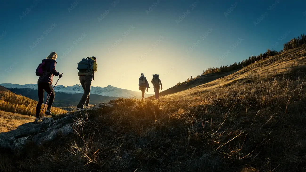 Adobestock 296468884