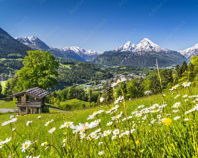 Adobestock 82124847 preview kopie
