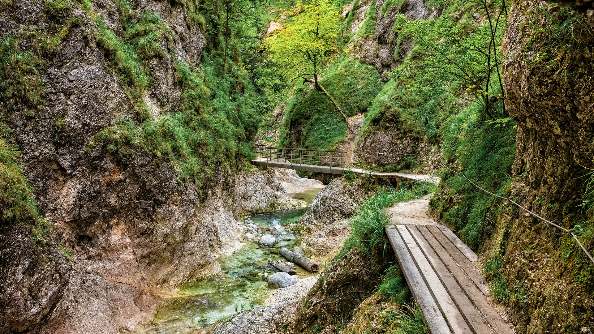 Adobestock 92034642 kopie