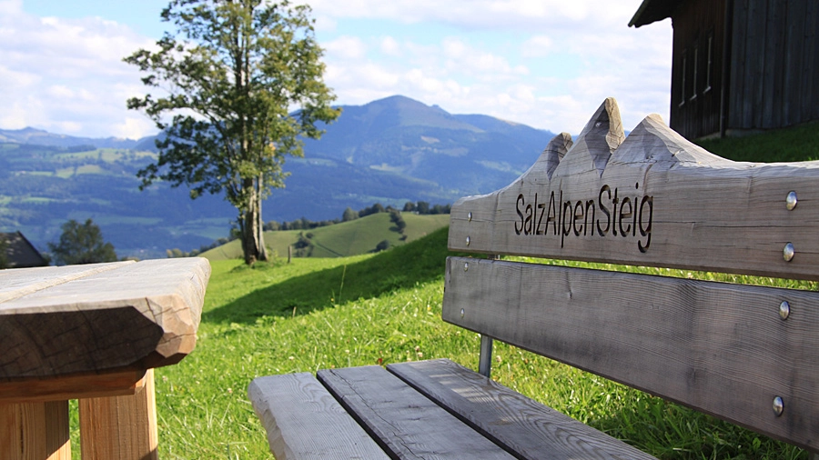 Eine Sitzbank am Salzalpensteig