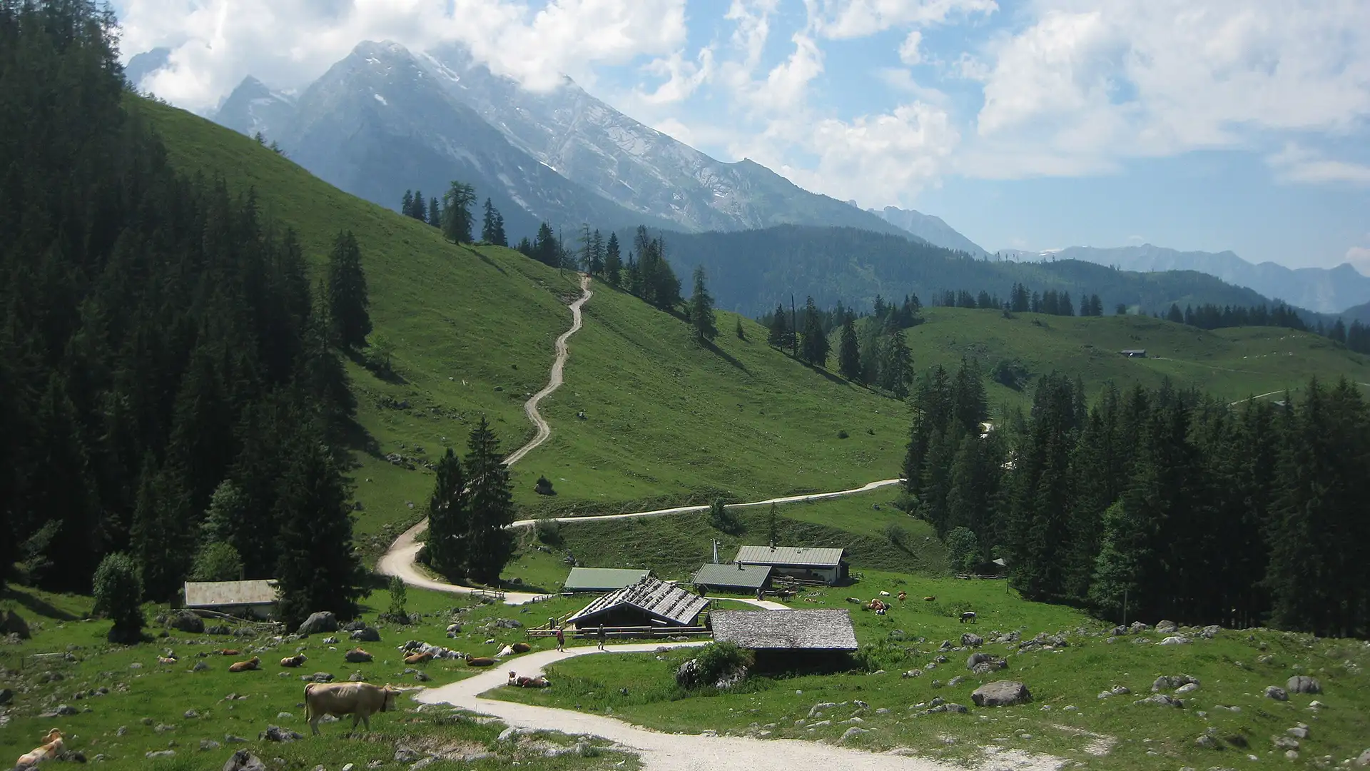 Königsbachalm